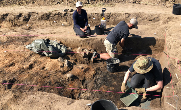 Foto af arkæologer under udgravningen ved sydvolden, hvor et sort lag efter den brændte anlæg tegner sig i det lyse sand.